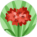 Kamila profile picture